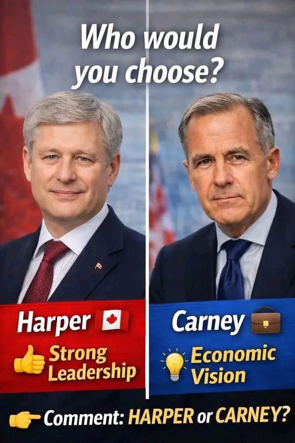 Coleen Mac tweet media