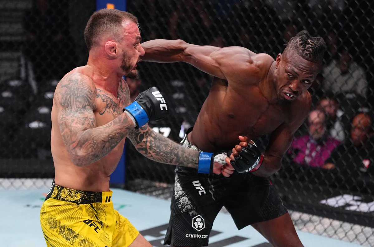 Blind Bear 🐻🕶️ tweet media