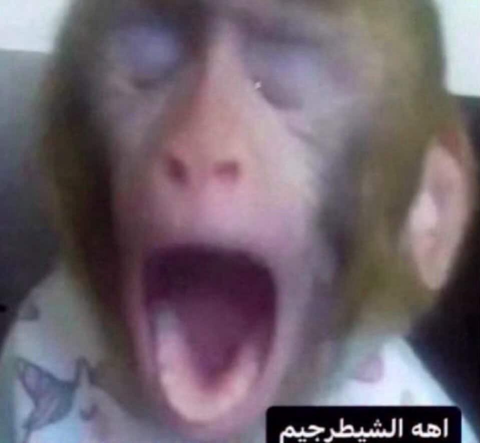 Doclander tweet media