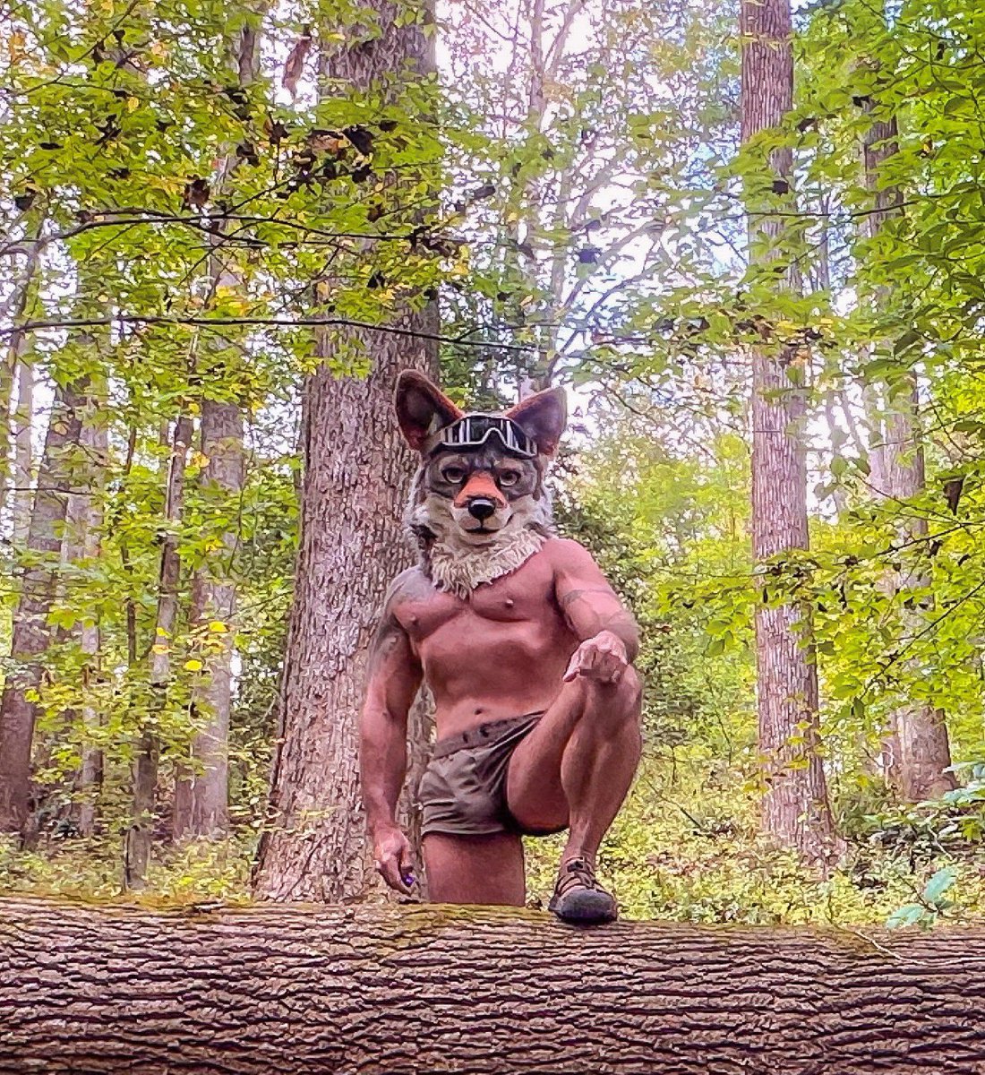 The Dog General tweet media