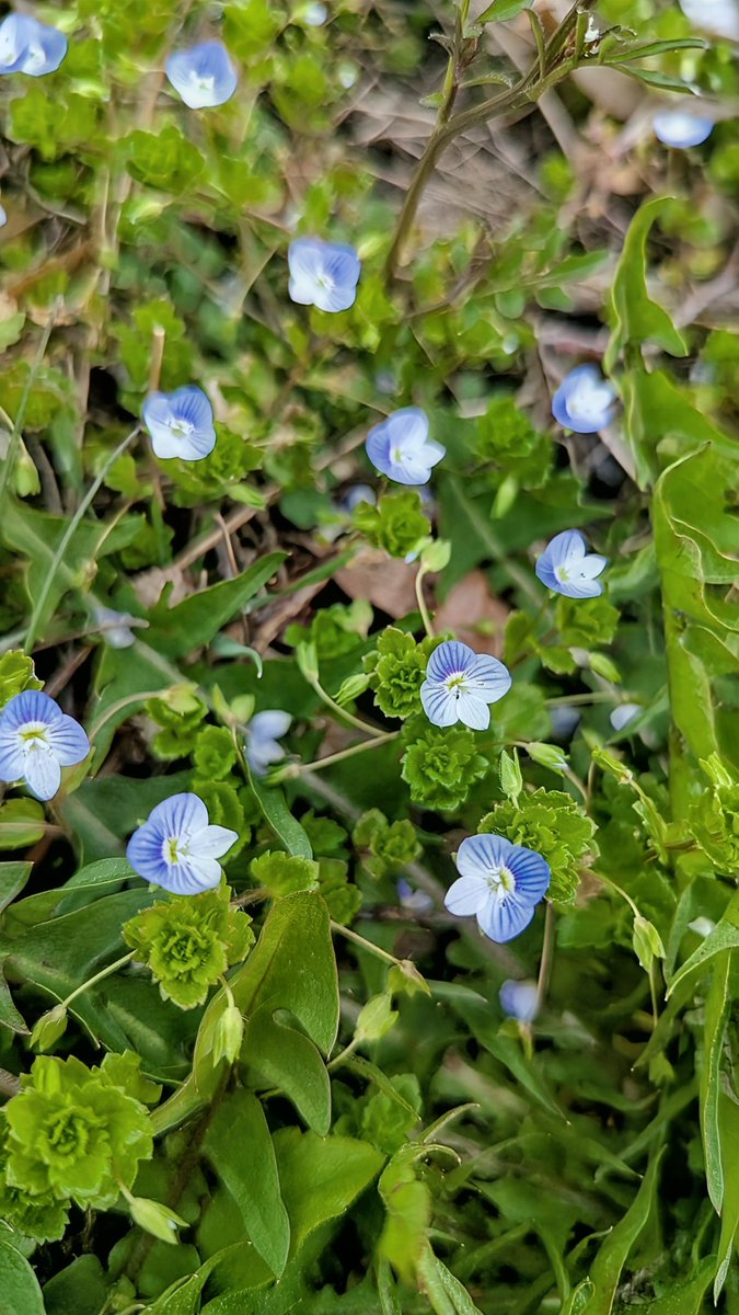 🤎Squirrel🧡 tweet media