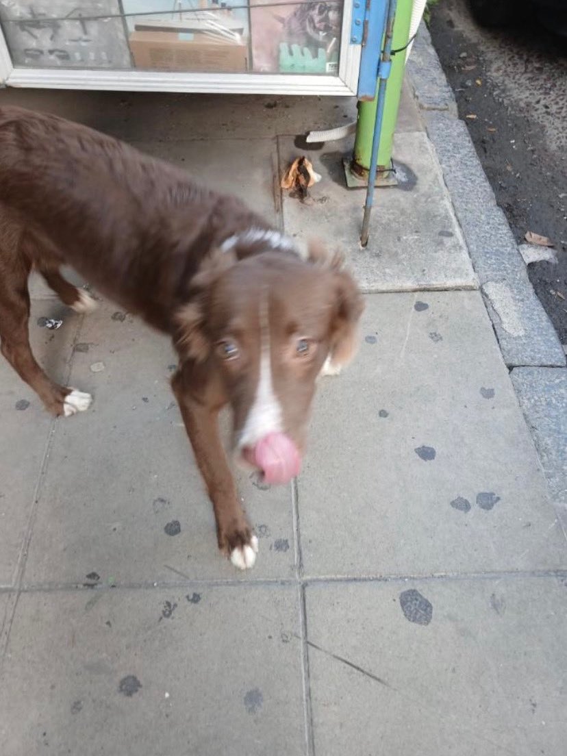 Avellaneda_Real tweet media