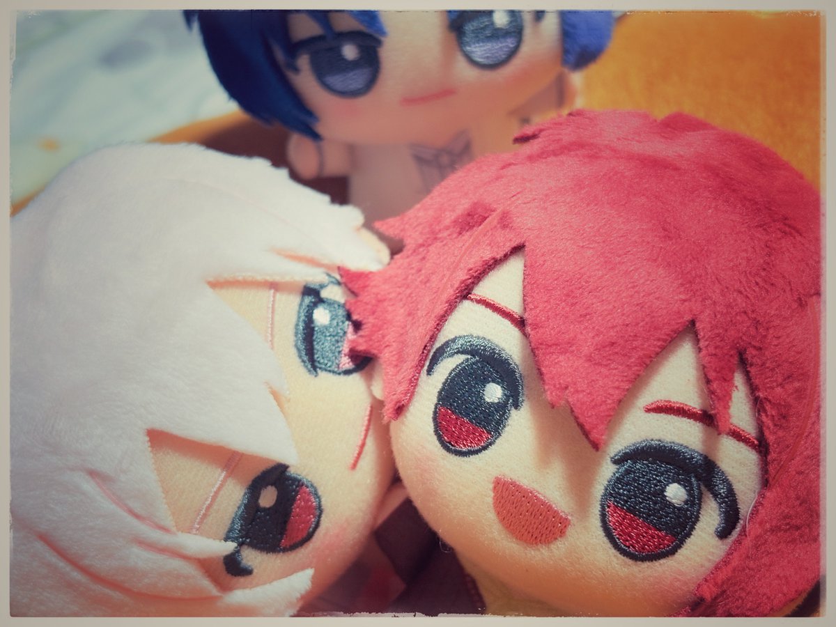 くらげ tweet media