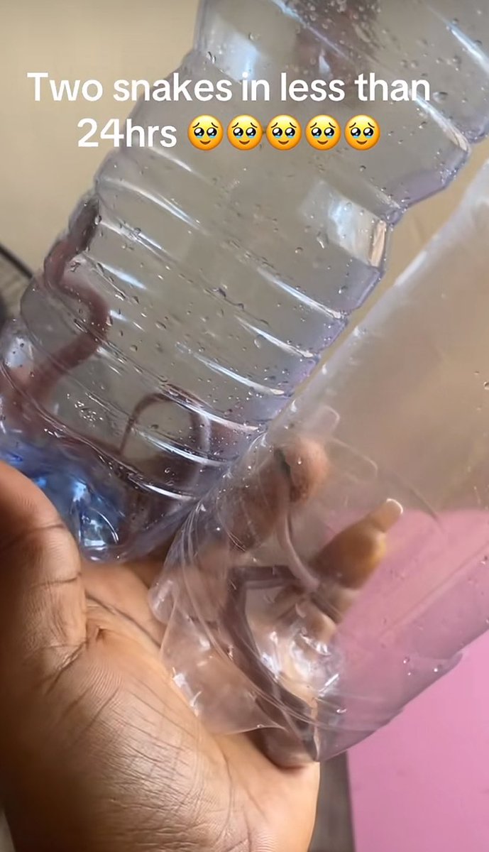 Queen Ella☢️✂️❤️ tweet media