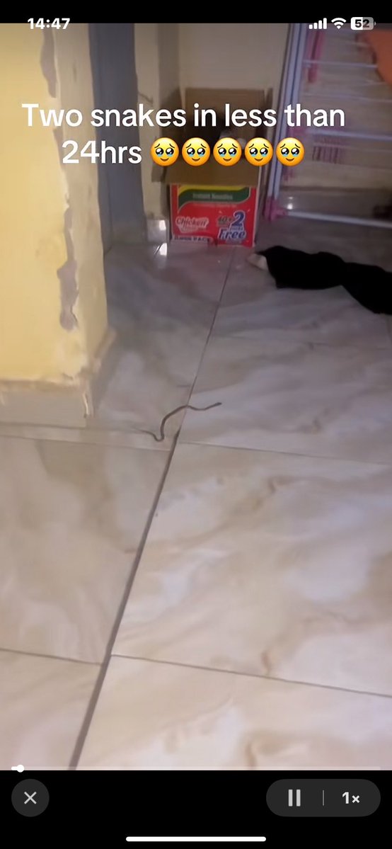 Queen Ella☢️✂️❤️ tweet media