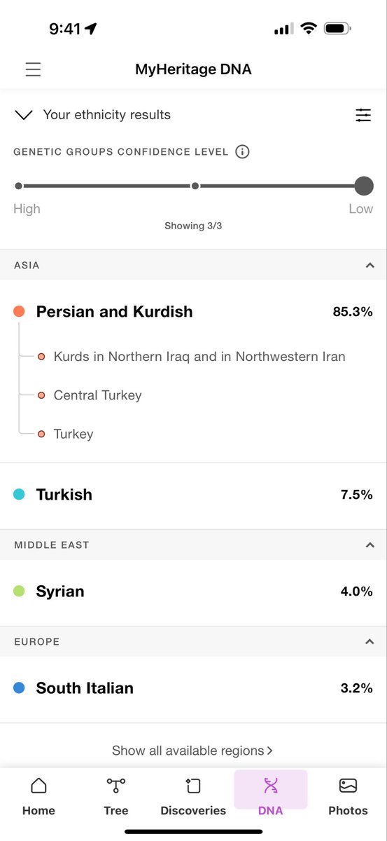 My DNA results reflect modern borders like ‘Central Turkey’ and ‘Syria,’ but those regions overlap with historical Kurdistan. So genetically, my background is almost entirely Kurdish—about 96.8%—with a small 3.2% Italian connection.