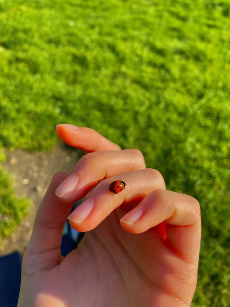 Jiya 🦚 tweet media