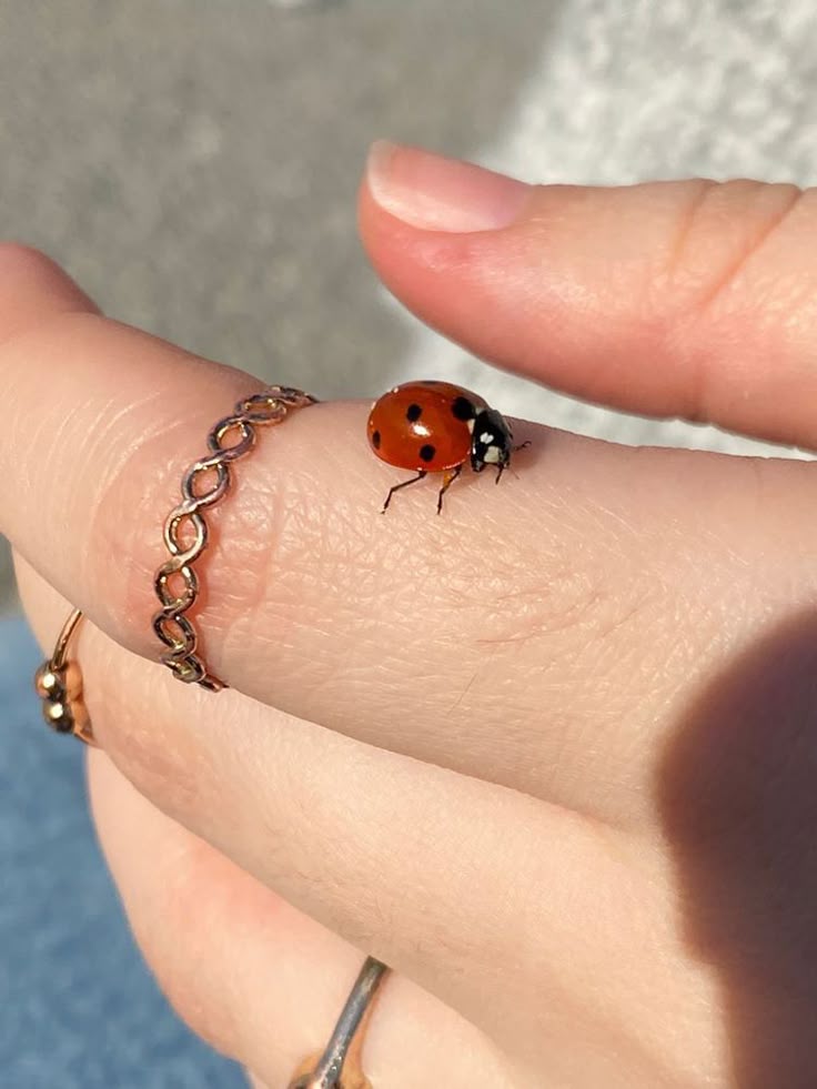 Jiya 🦚 tweet media