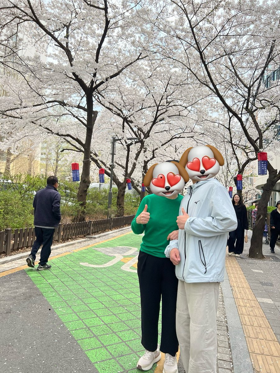 느림보 tweet media