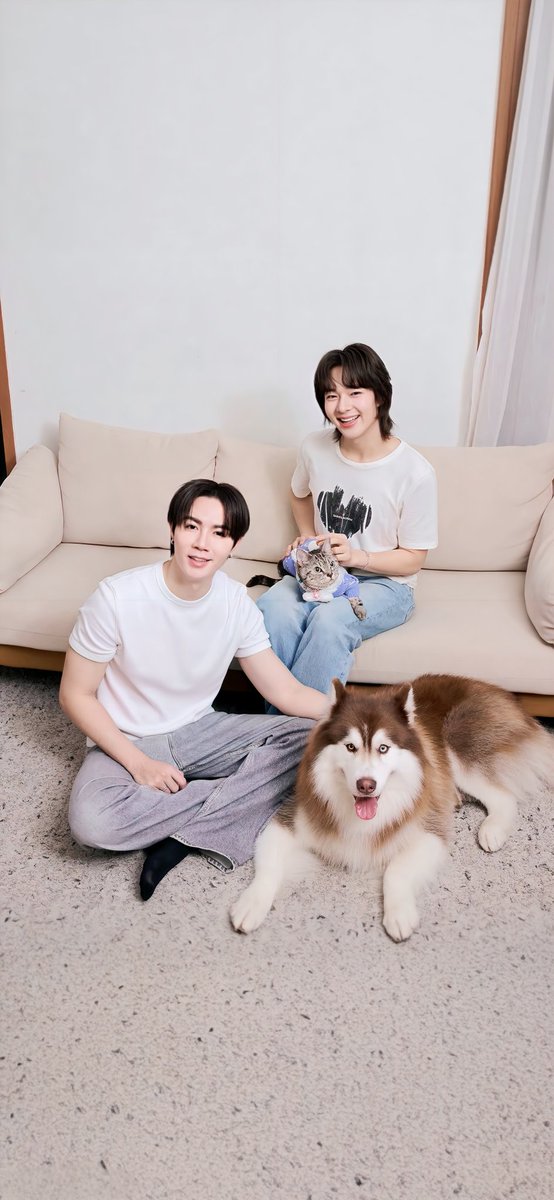 찌ᩚ핑ᩚ ชิปิง✨૮˶• ᴥ •˶ა⸍⸌̣ʷ̣̫⸍̣⸌ tweet media