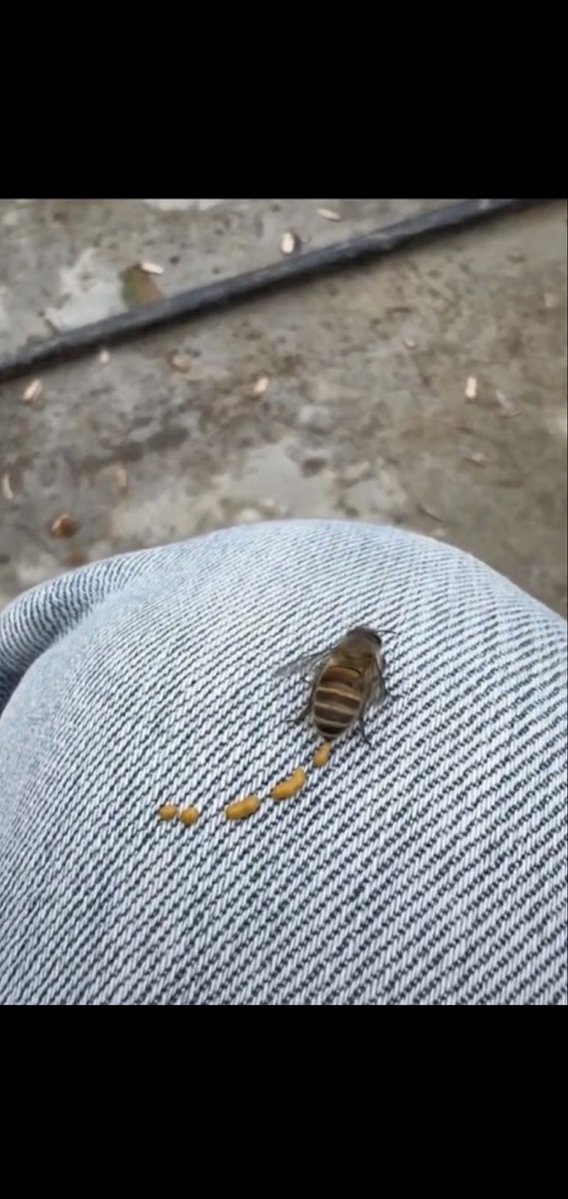 Human Humor tweet media