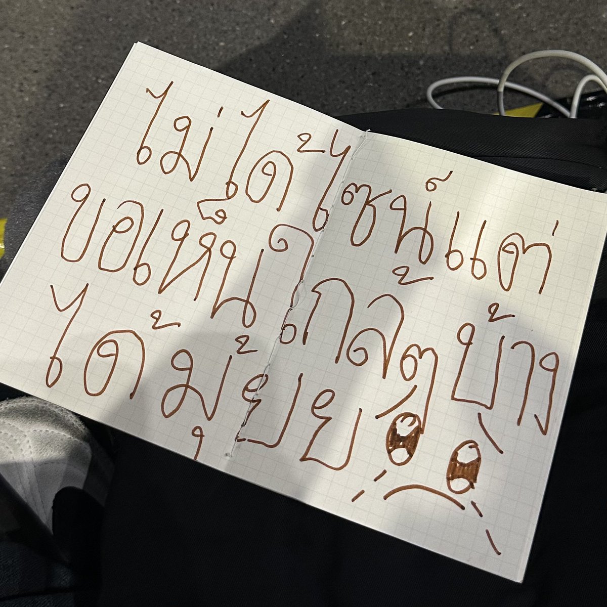 : meow : tweet media