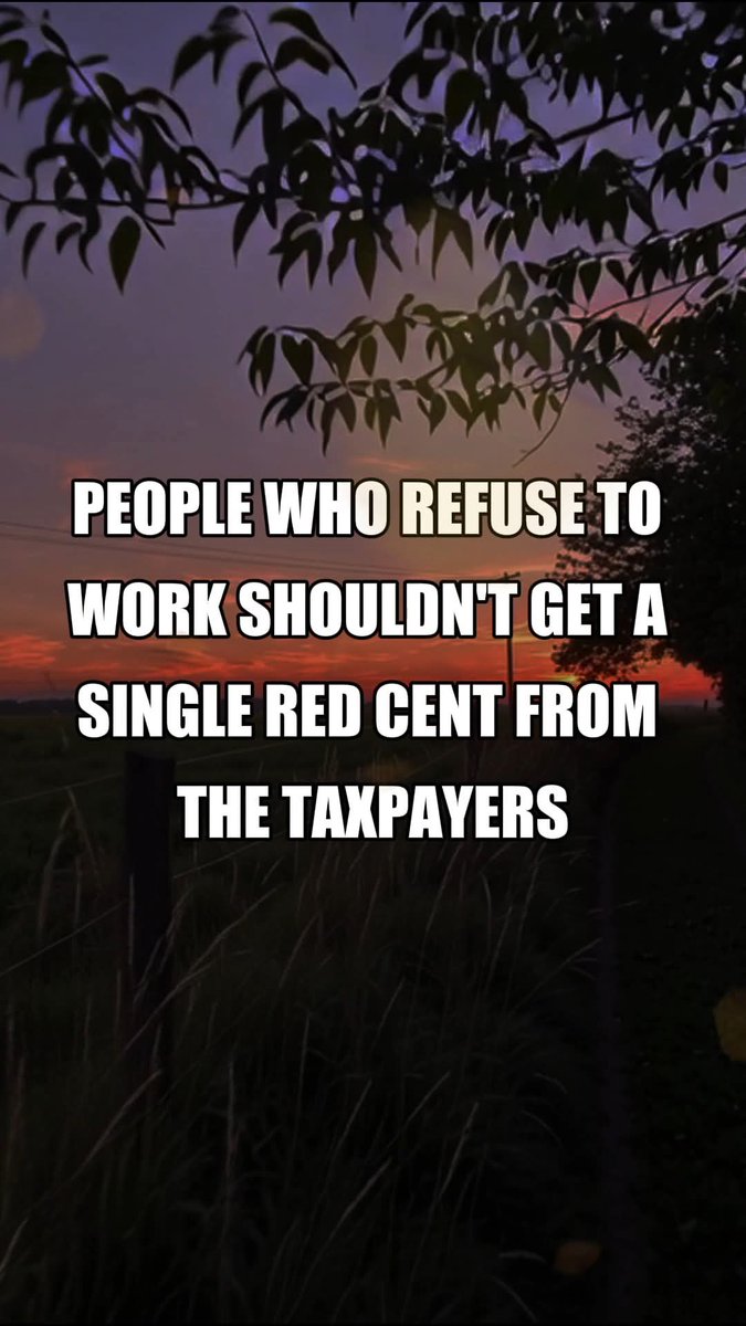 Elizabeth❣️ tweet media