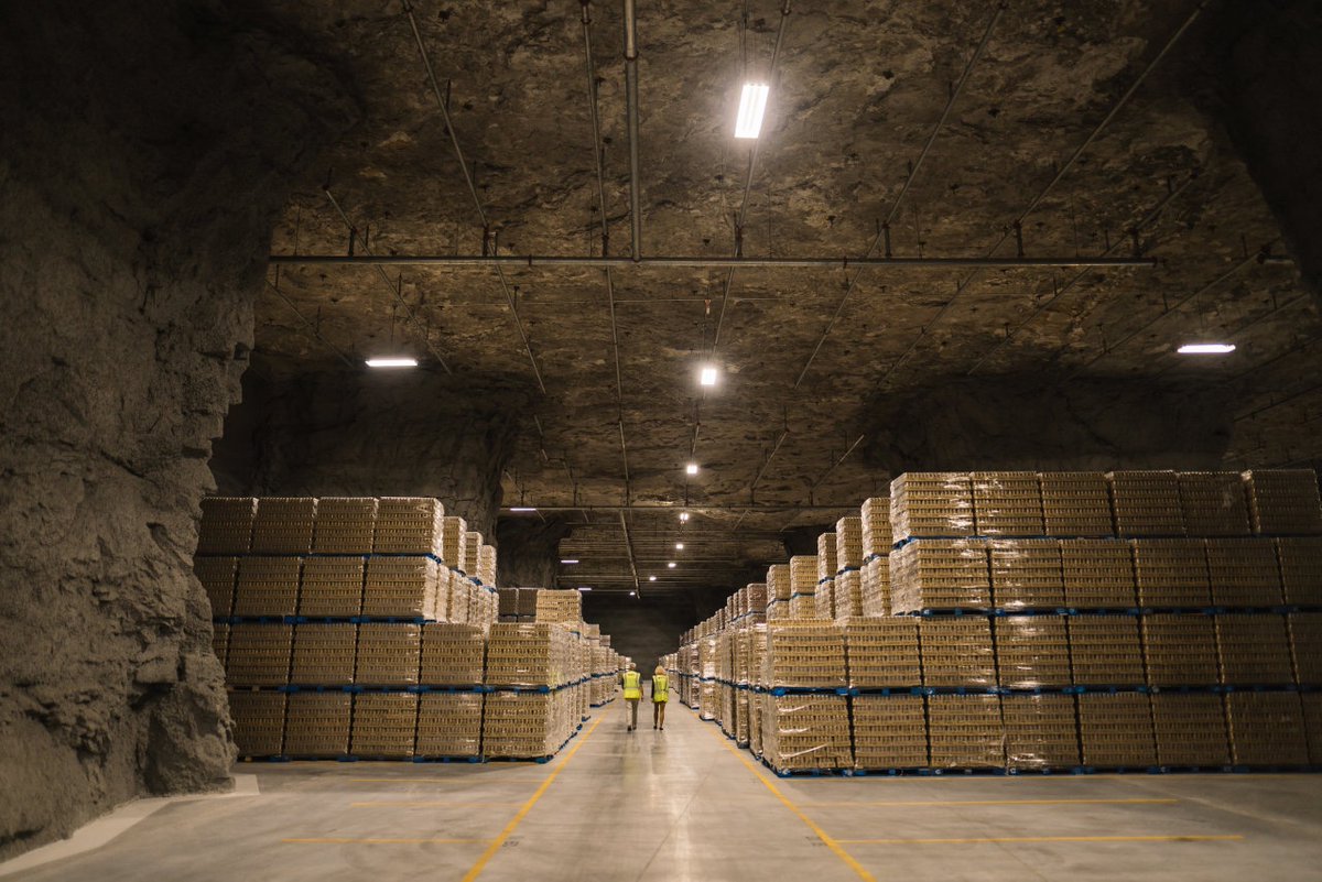 Evil Todd Howard tweet media