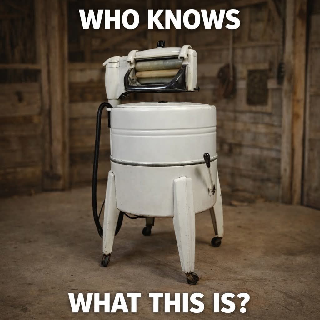 Elizabeth❣️ tweet media