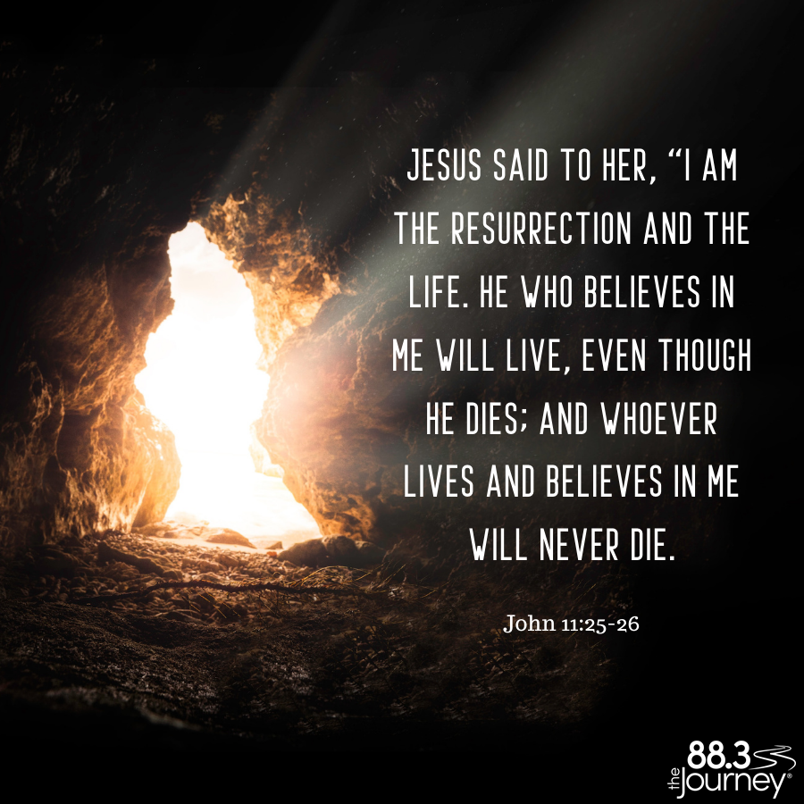 Michelle tweet media