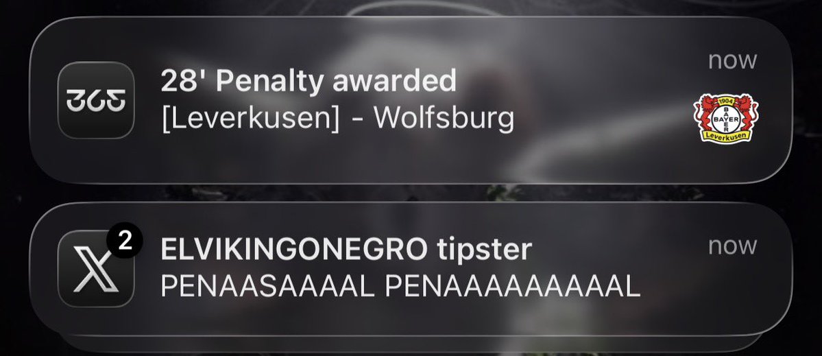 alex🪂 tweet media