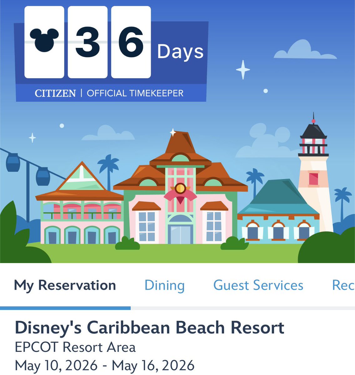 SeafoamSafari tweet media