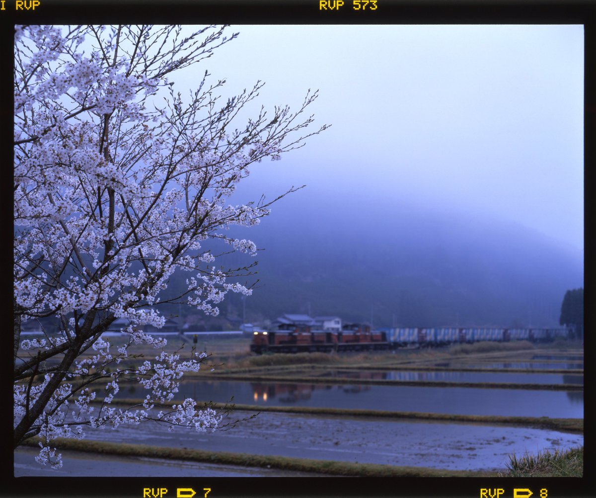 ggBetCH2up66784's tweet image. 濃霧の朝
重い霧が立ち込めた薄暗い早朝。桜は満開には及ばずだったが、田んぼには早くも水が張られていた。

2001.4.8  3161列車　紀勢本線　阿曽～伊勢柏崎
PENTAX67　105mm　RVP+1
#PENTAX67
