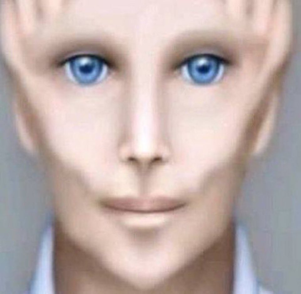 ✧˚ · N tweet media