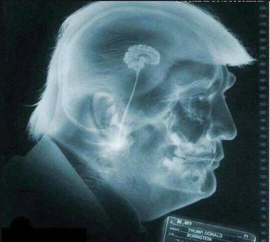 Olena Rohoza tweet media