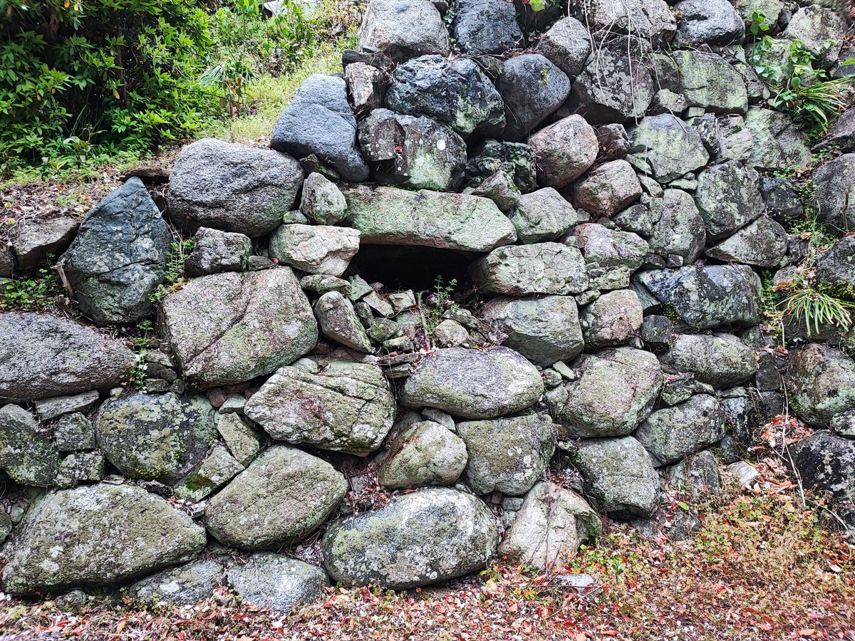 ふうちゃんZ tweet media