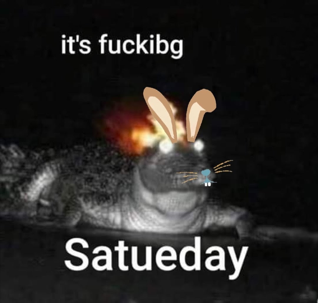 bug 🐛⚡️ tweet media