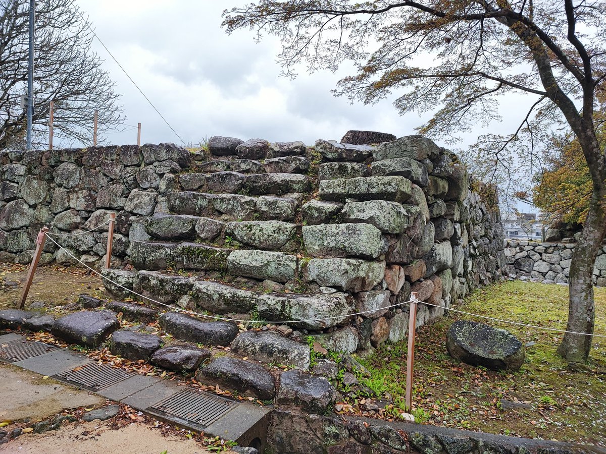 ふうちゃんZ tweet media