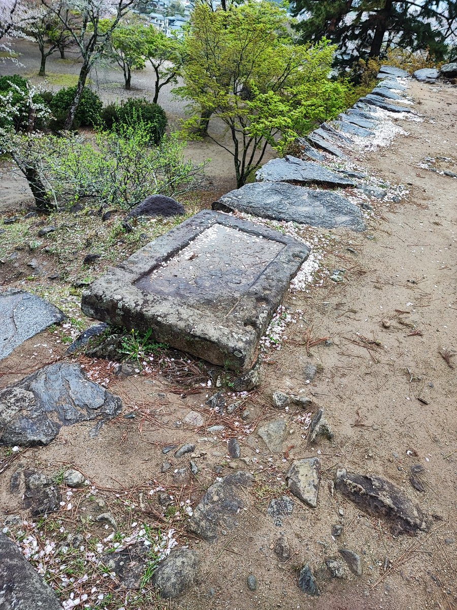 ふうちゃんZ tweet media