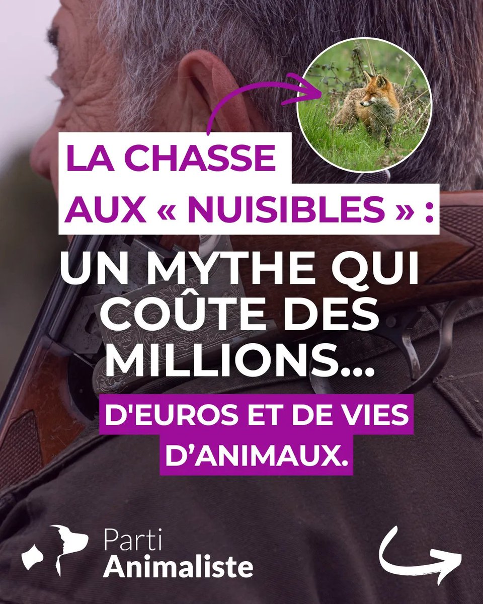 Parti animaliste tweet media