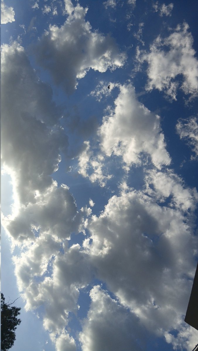 𝙀𝙨𝙝𝙖ᡣ𐭩 tweet media