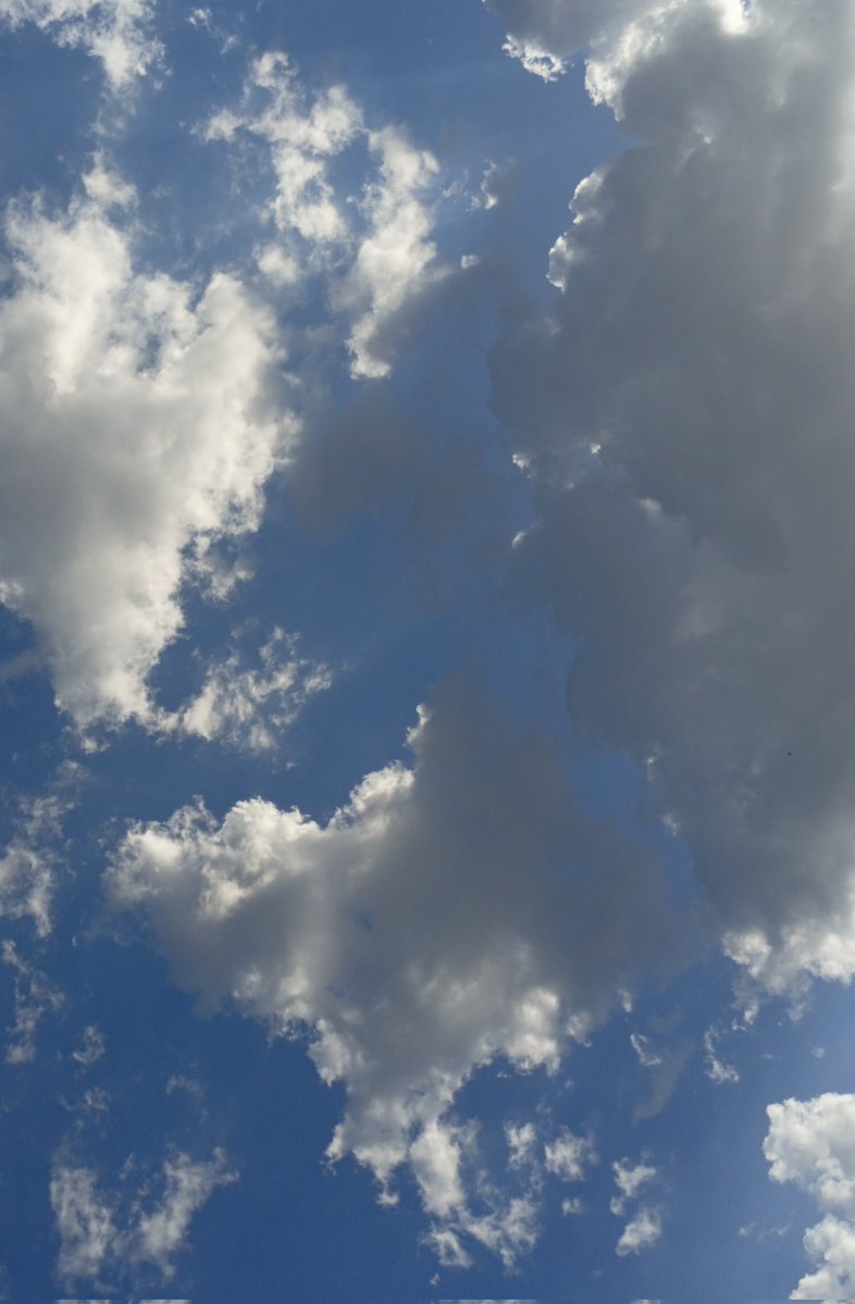 𝙀𝙨𝙝𝙖ᡣ𐭩 tweet media