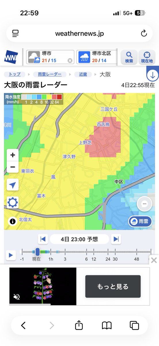 ジョリー tweet media