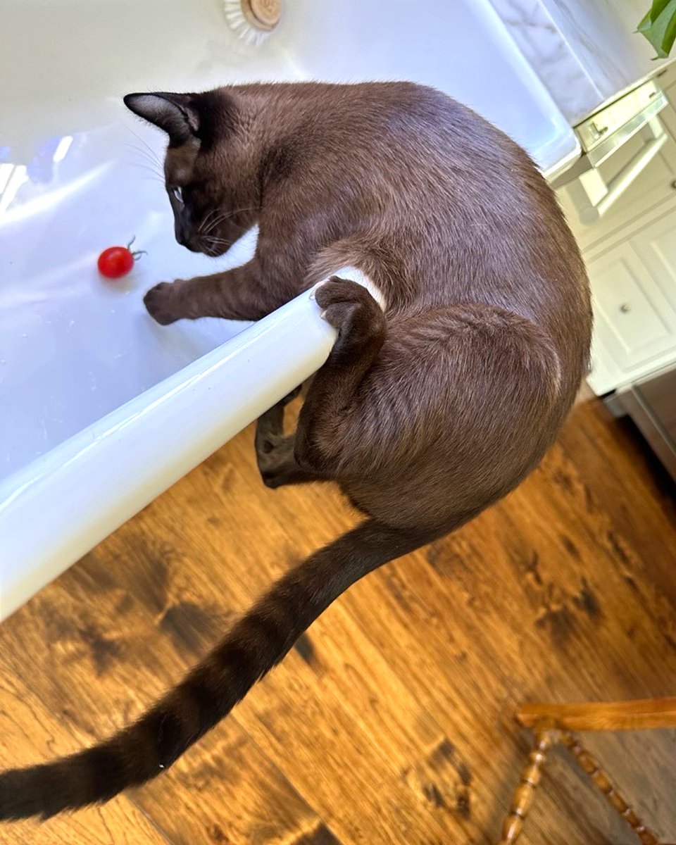 James Patterson tweet media