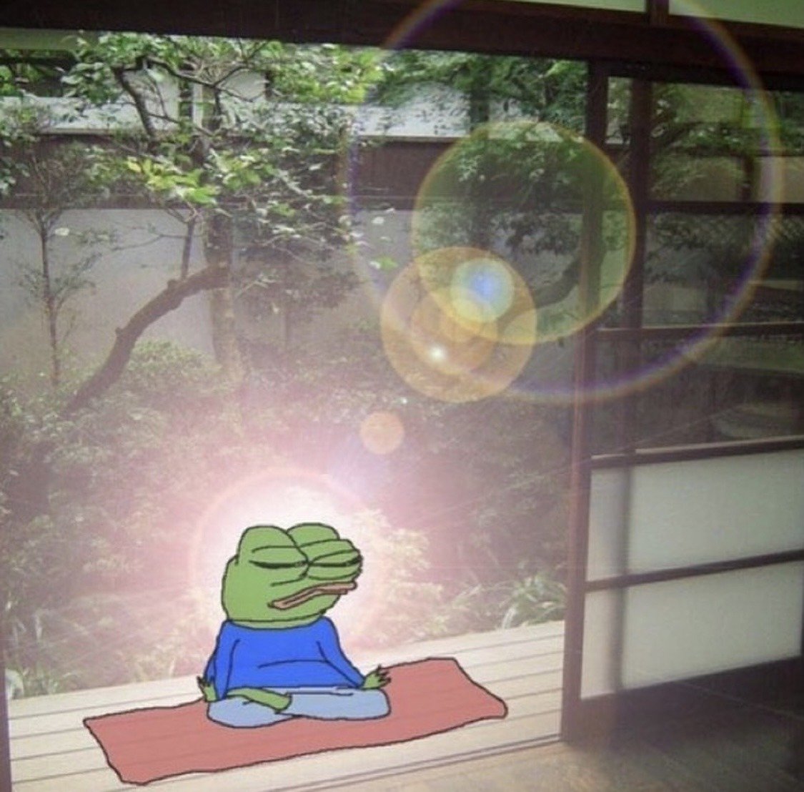 piloteando ando tweet media