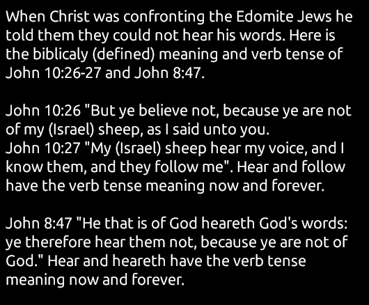 Tim Coucke tweet media