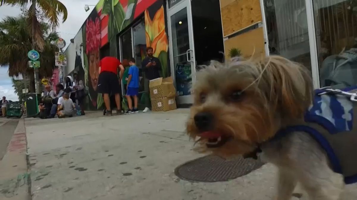 Eyewitness News tweet media