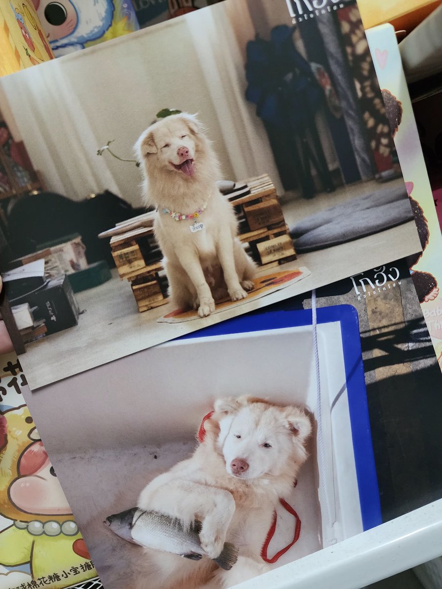 ♡n•a•r•u•w•a•n•g♡ tweet media