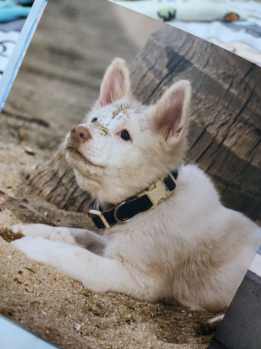 ♡n•a•r•u•w•a•n•g♡ tweet media