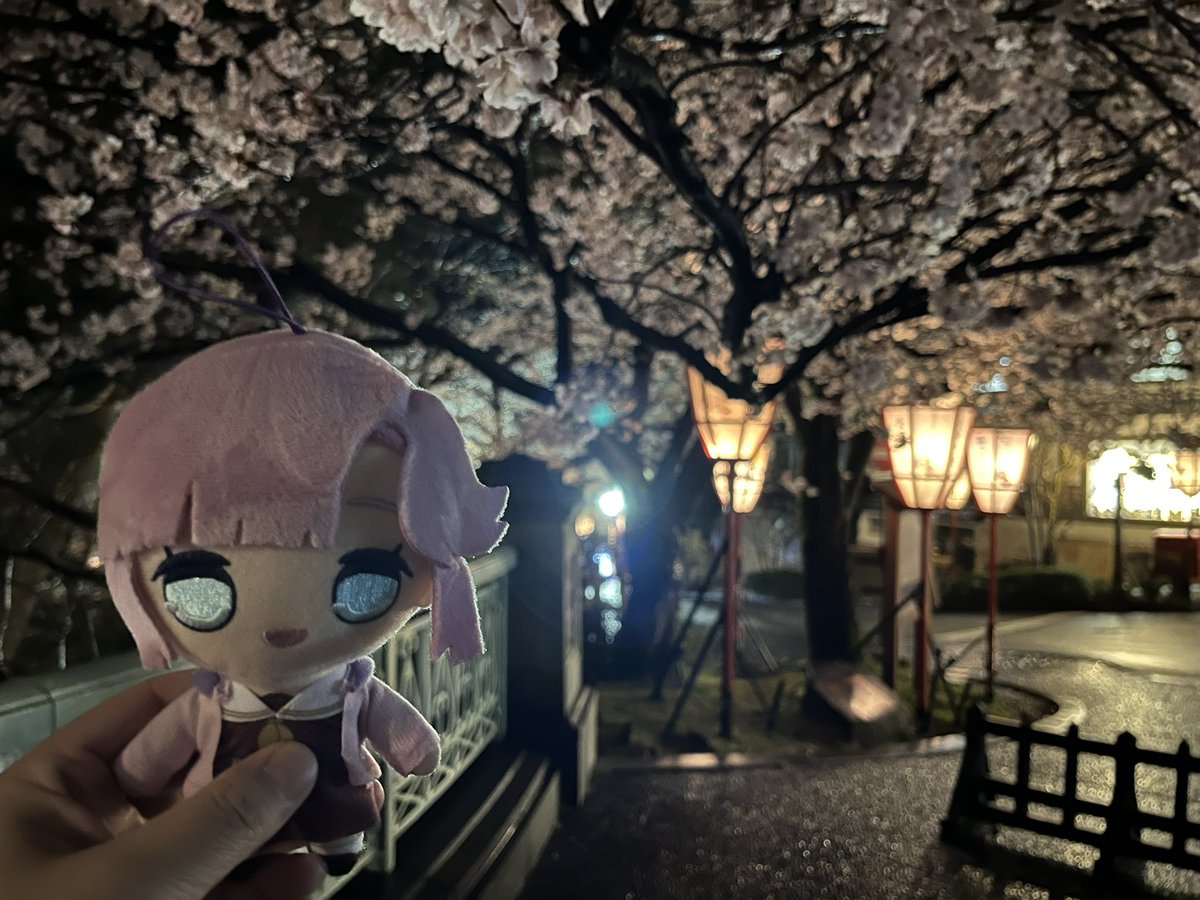 ほさか@キタケな性格 tweet media