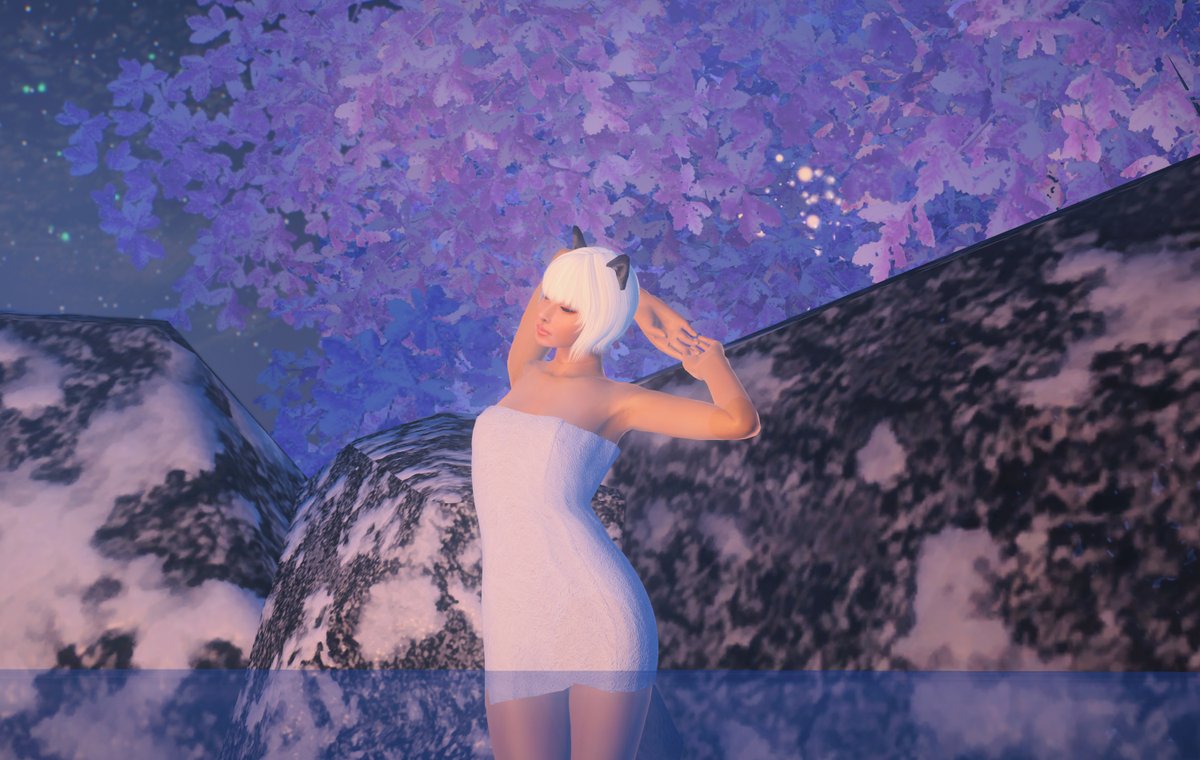 RoundRovin tweet media