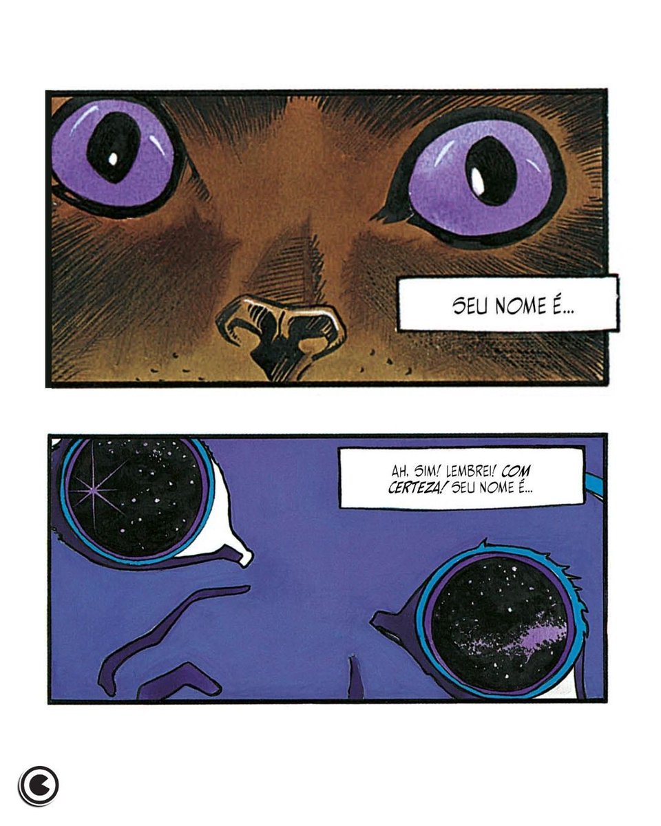 Conrad Editora tweet media