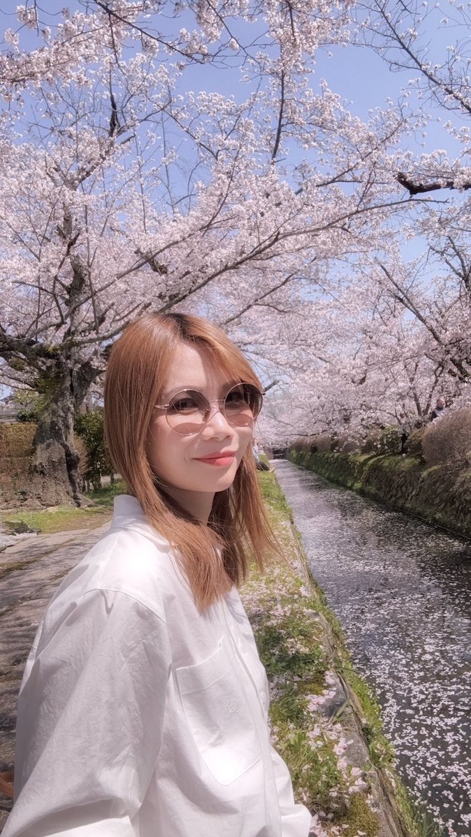 SabonLover's tweet photo. 哲学の道、花びらが地面を埋め尽くしてた。🌸
川にも、道にも、ぜんぶ桜。 歩くたびに踏んでしまうのが申し訳なくなるくらい。
こんな景色、見たことなかった。
哲学の道、行ったことある人いますか？ いいね押すと 桜 が出ます🌸
#哲学の道 #京都桜 #桜2026  #京都旅行 #旅行好きな人と繋がりたい https://t.co/KqTTAFoxm4