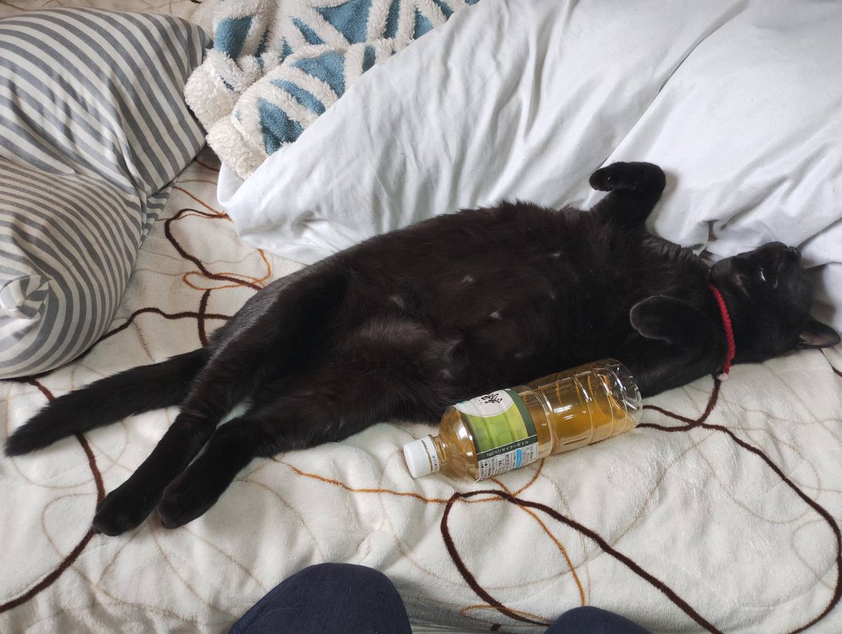 劇団ゼロ Official tweet media