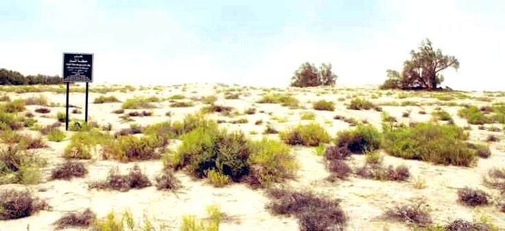 طارق الفياض tweet media