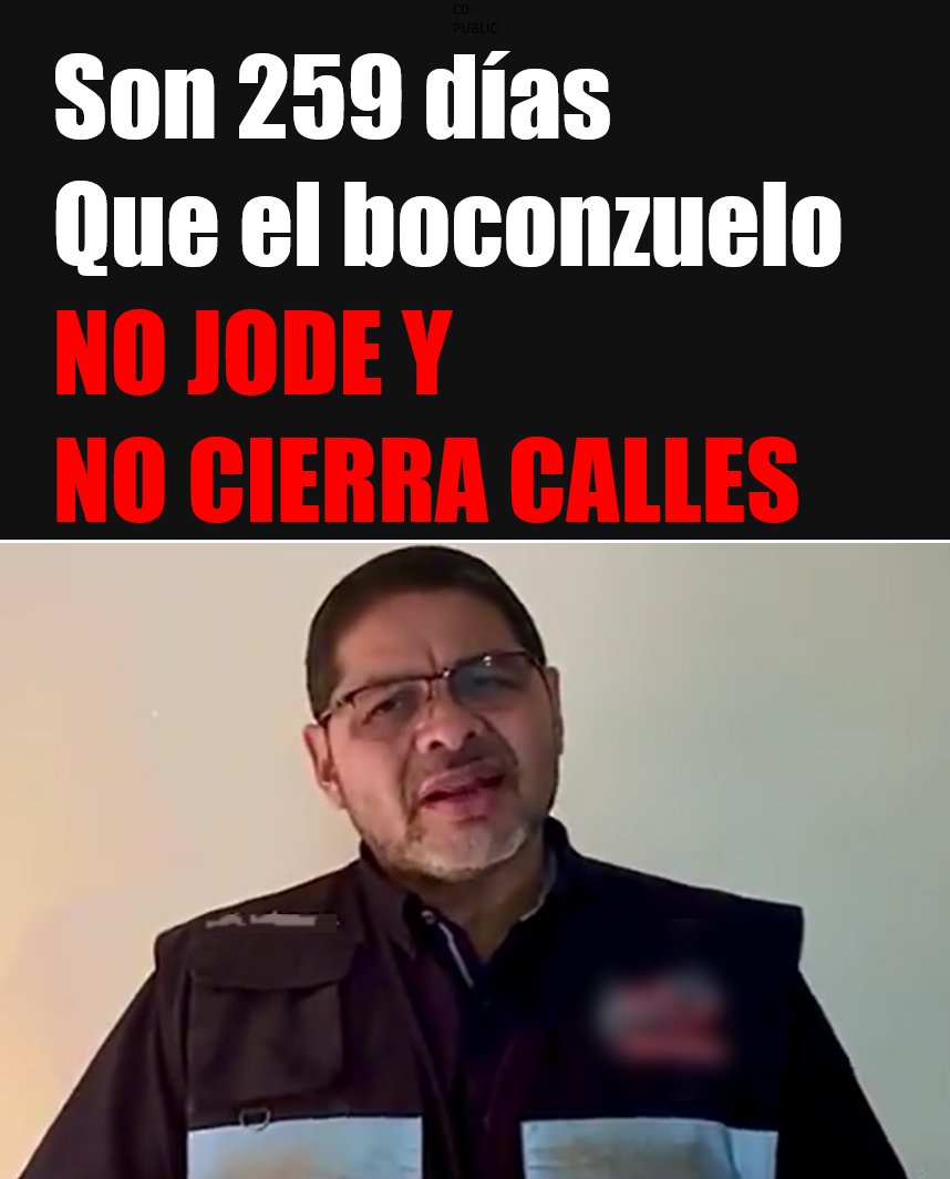 El Loro De Panamá Es Verde tweet media