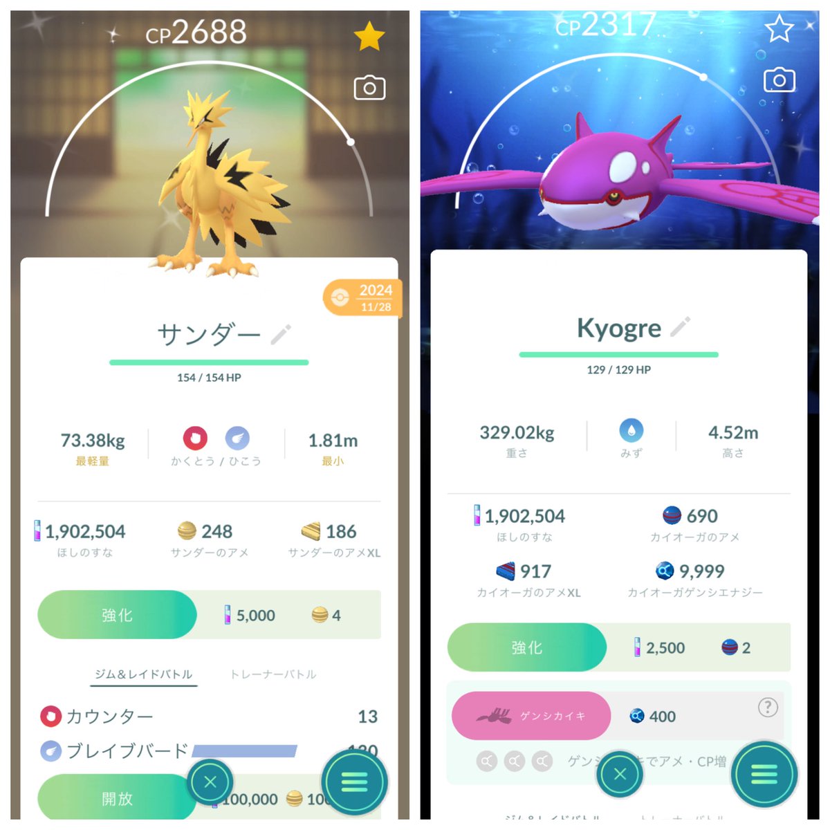 フィール tweet media