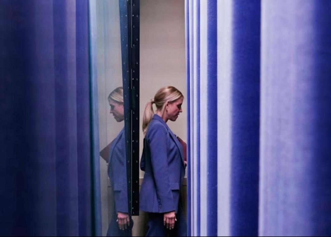 MP Arizona☀️🏳️‍🌈💙🌵🐕🐕‍🦺🫂💦🏜🐟🌴🎙🌎🌻♍️🌊 tweet media