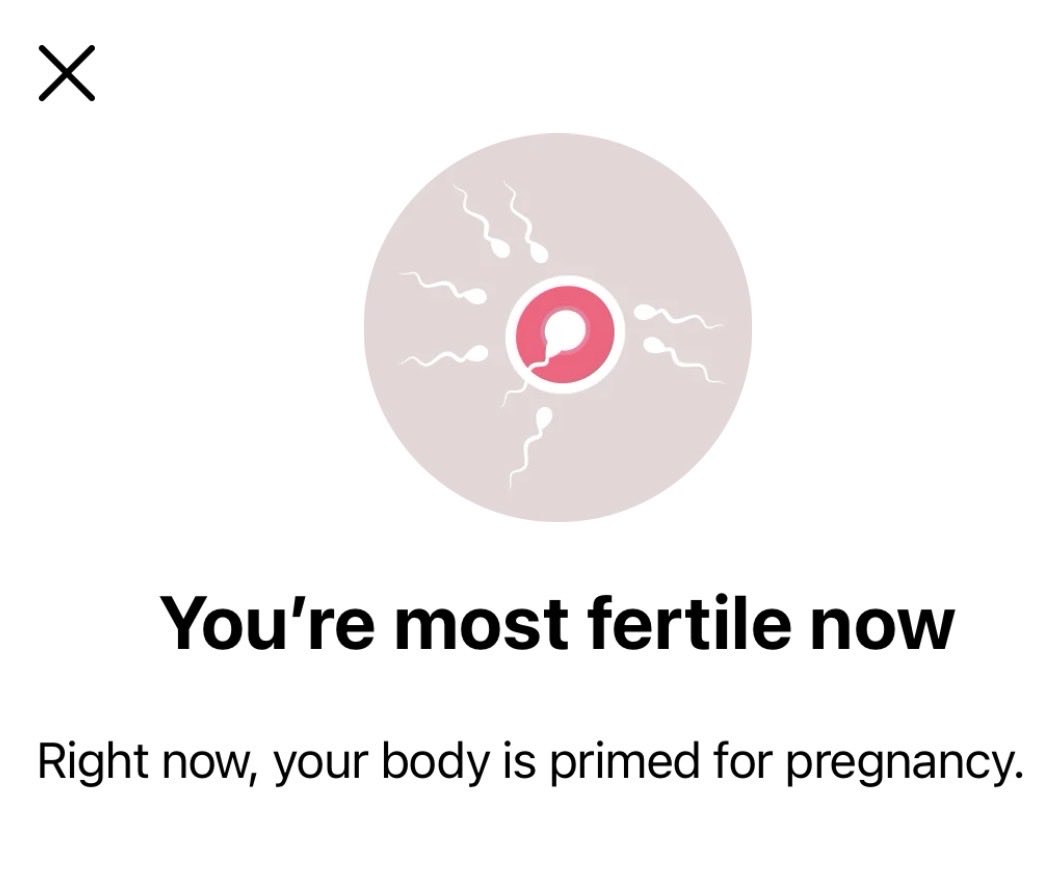 Tjia💗✨지아 tweet media