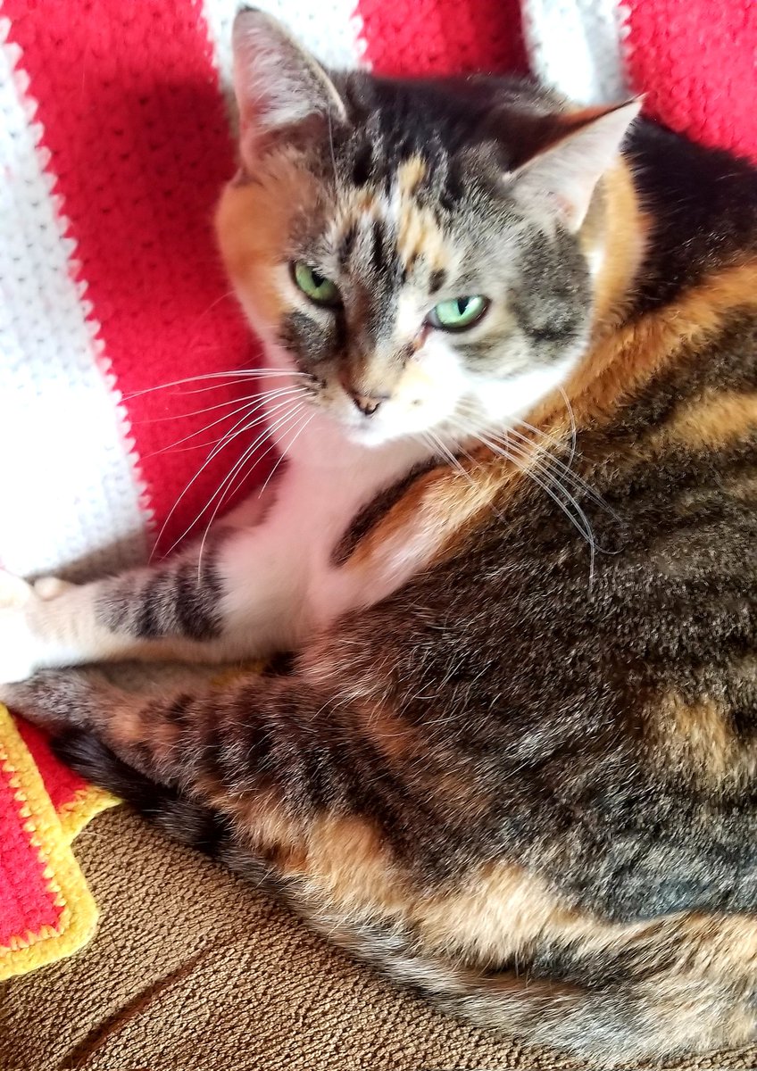 Don⚓🛥💫🤪 tweet media